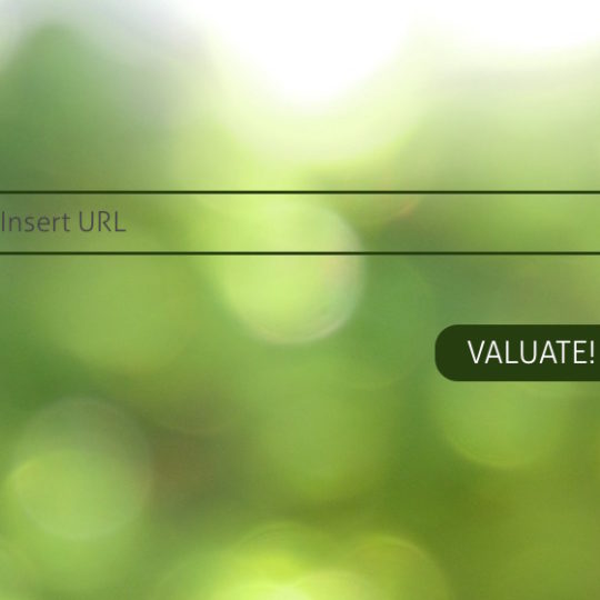 Website Valuation Tool