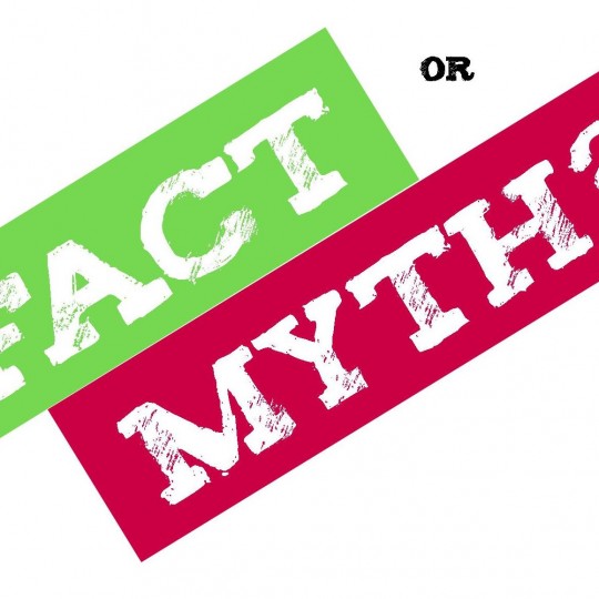 Fact or Myth - Website Due Diligence